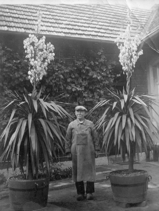 Onkel Nagelsdiek in der Droste H&uuml;lshoffstr.