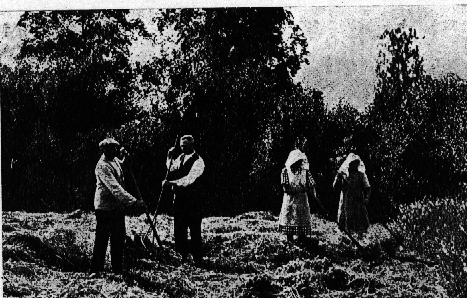 Heuernte in Elte Foto Otten, Rhrinr